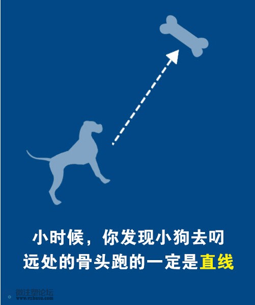mmexport1466651484548.jpg