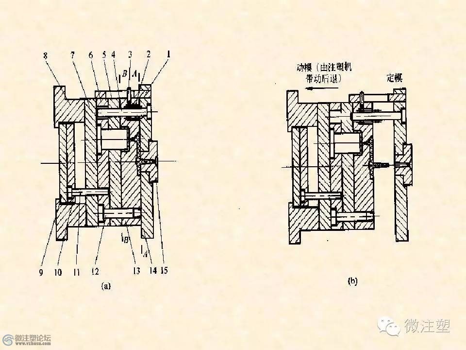 d9.jpg